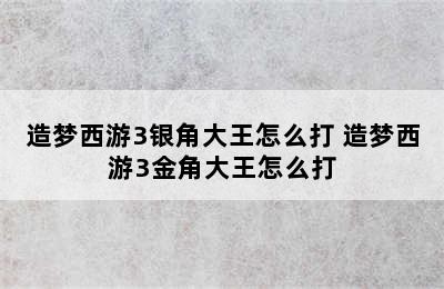 造梦西游3银角大王怎么打 造梦西游3金角大王怎么打